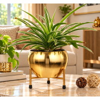 Orchid pot with stand plant pot with Stand Gold